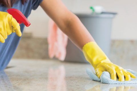 5 Household Items That Contain The Most Germs