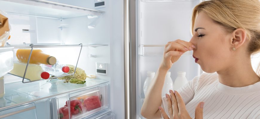 How To Remove Bad Odor From The Fridge
