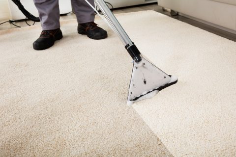 Carpet Cleaning Tips