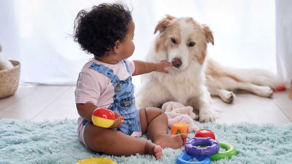 Best Pets for Kids and How To Choose Them | Mom.com