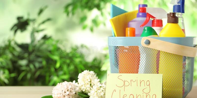 Spring Cleaning: The Ultimate Survival Guide