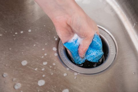 DIY Lemon Garbage Disposal Cleaner