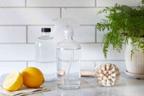 New to DIY Cleaning? Try these 3 Recipes First