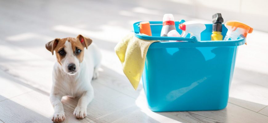 Pet Safe Cleaning Products