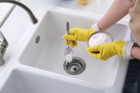 DIY Sink Scrub