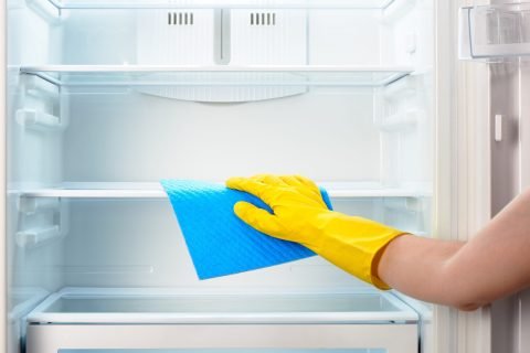 The Ultimate Guide to Cleaning Your Refrigerator