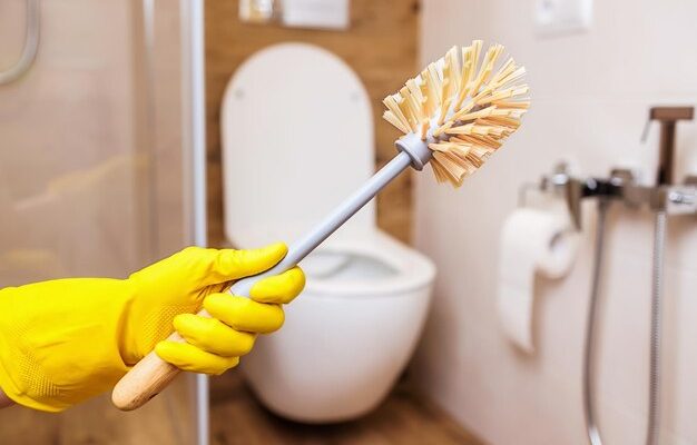 How to Clean a Toilet Brush