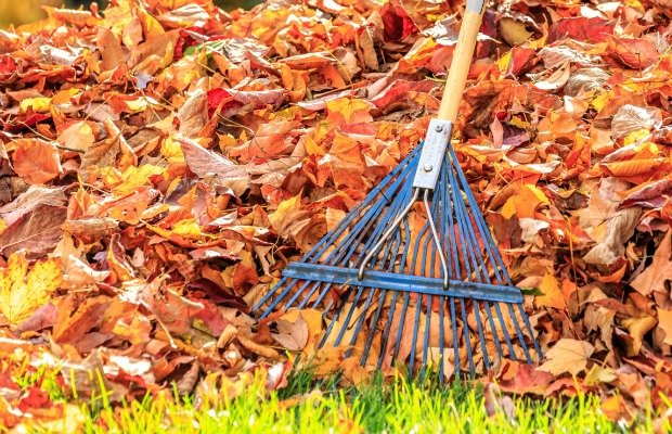 The 2021 FALL Deep Cleaning Survival Guide!