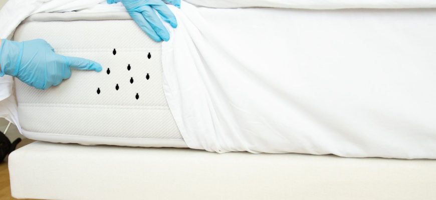 Is Your Home Making You Sick? Hidden Dirt and Allergens You Might Be Overlooking