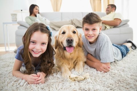 How To Keep Your House Clean With Kids & Pets