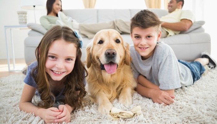 How To Keep Your House Clean With Kids & Pets