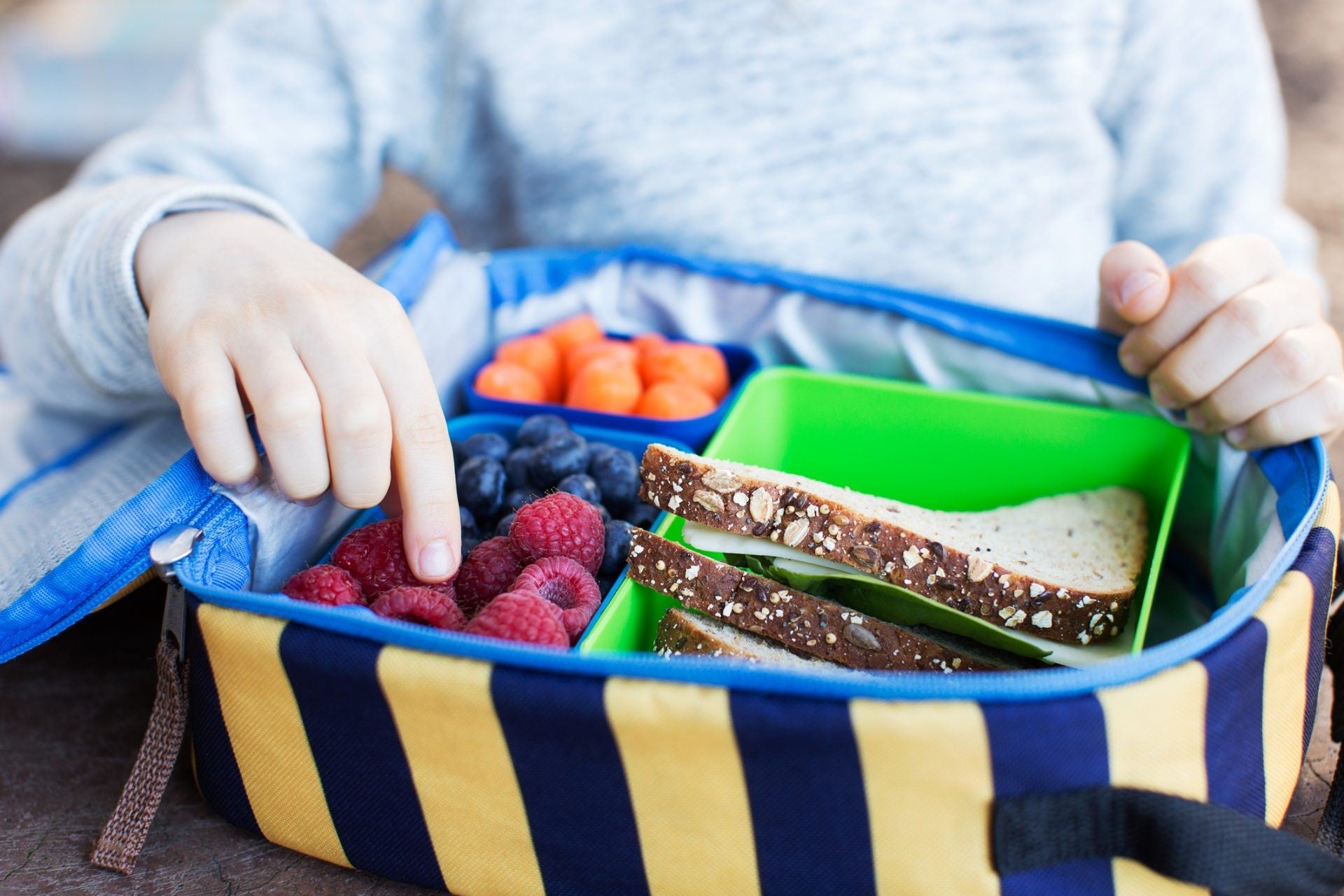 Keeping Kids' Lunchboxes Fresh and Clean – Tru Earth US