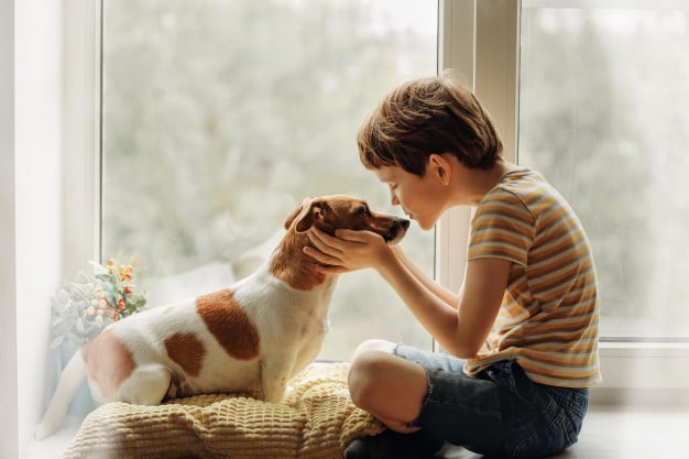 The Best Kid (And Pet) Friendly Cleaning Products | MaidForYou