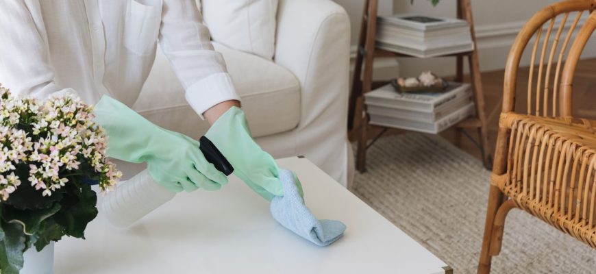 Spring Cleaning Tips