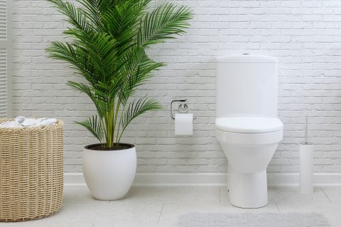 How to Clean a Toilet with Safe Ingredients