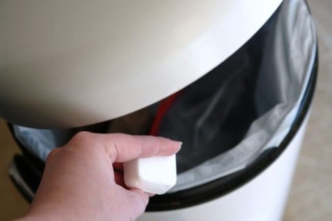 DIY Garbage Can Freshener Tabs