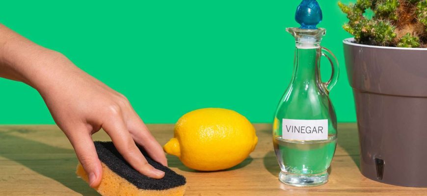 How to Use Vinegar for Cleaning