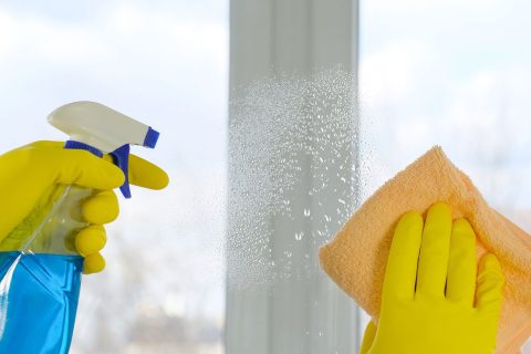 2 Ways to Wash Windows