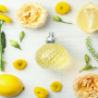 Seasonal Scents for Your Home: Lemon & Clove and Sweet Mint