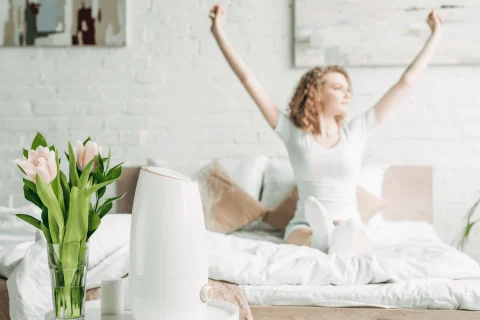 TOP Air Purifiers That Will Make Your Life Easier!