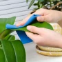 How To Clean Your Plants