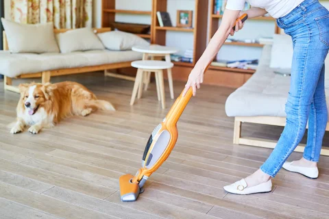 The best cleaning tips when you have pets